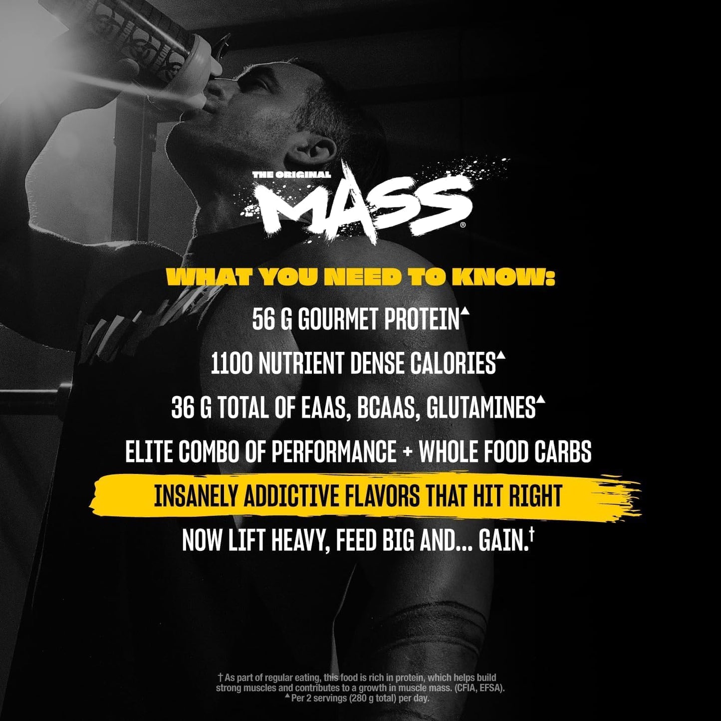 MUTANT - MASS GAINER - 15LBS