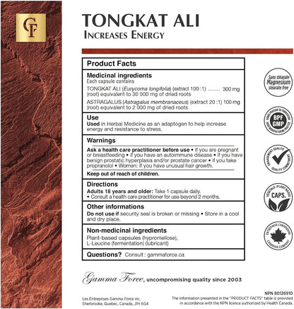 GAMMA FORCE - TONGKAT ALI - 60 CAPS