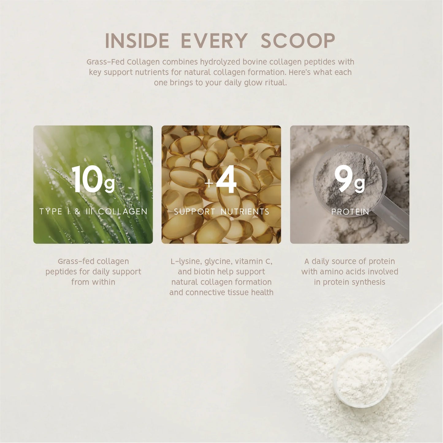 NORTH COAST NATURALS - COLLAGÈNE BOVIN - 250G