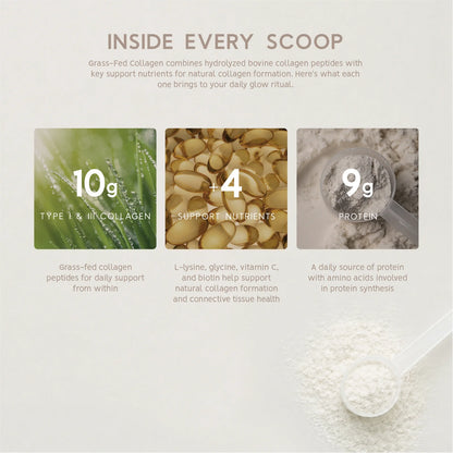 NORTH COAST NATURALS - COLLAGÈNE BOVIN - 250G